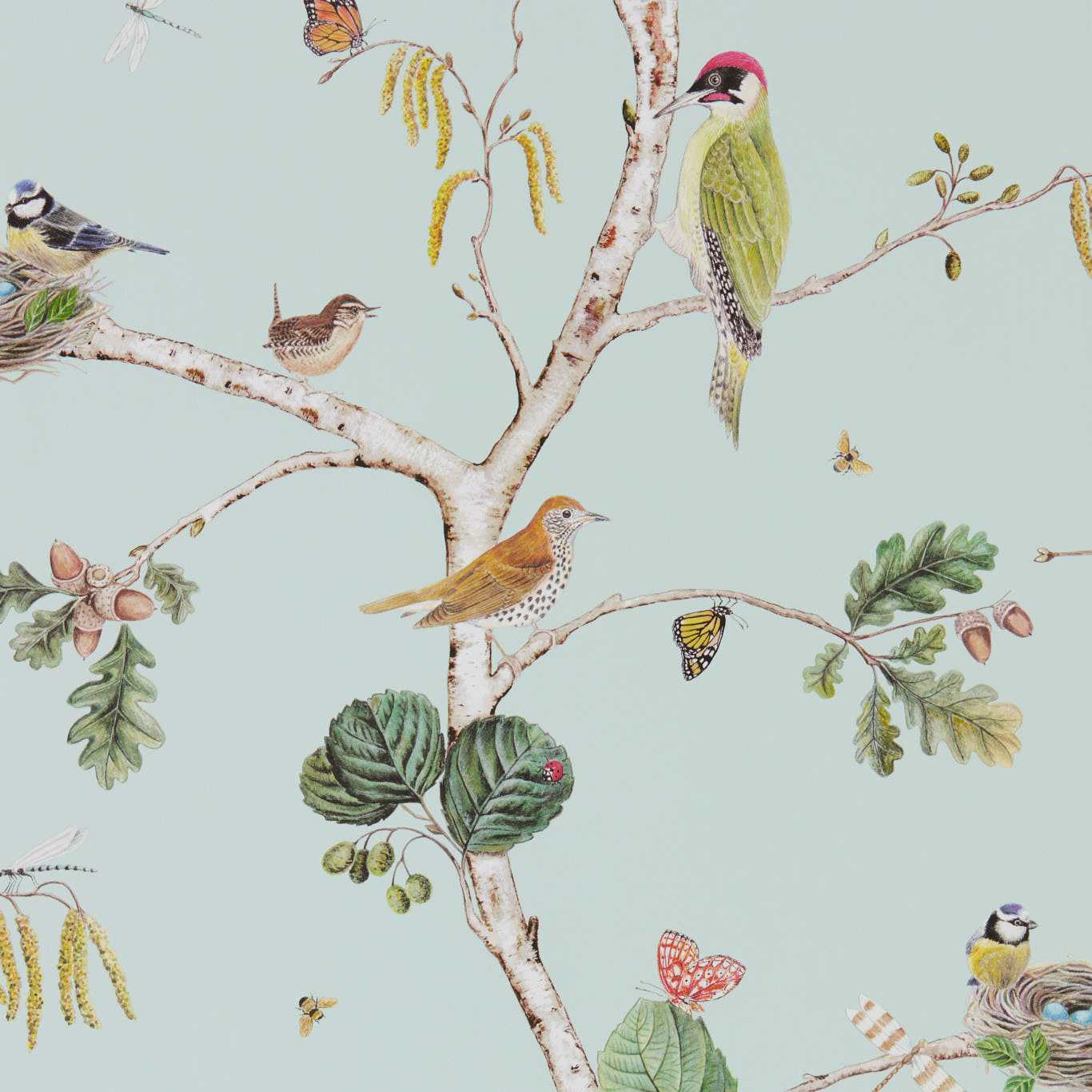 Woodland Chorus 215706